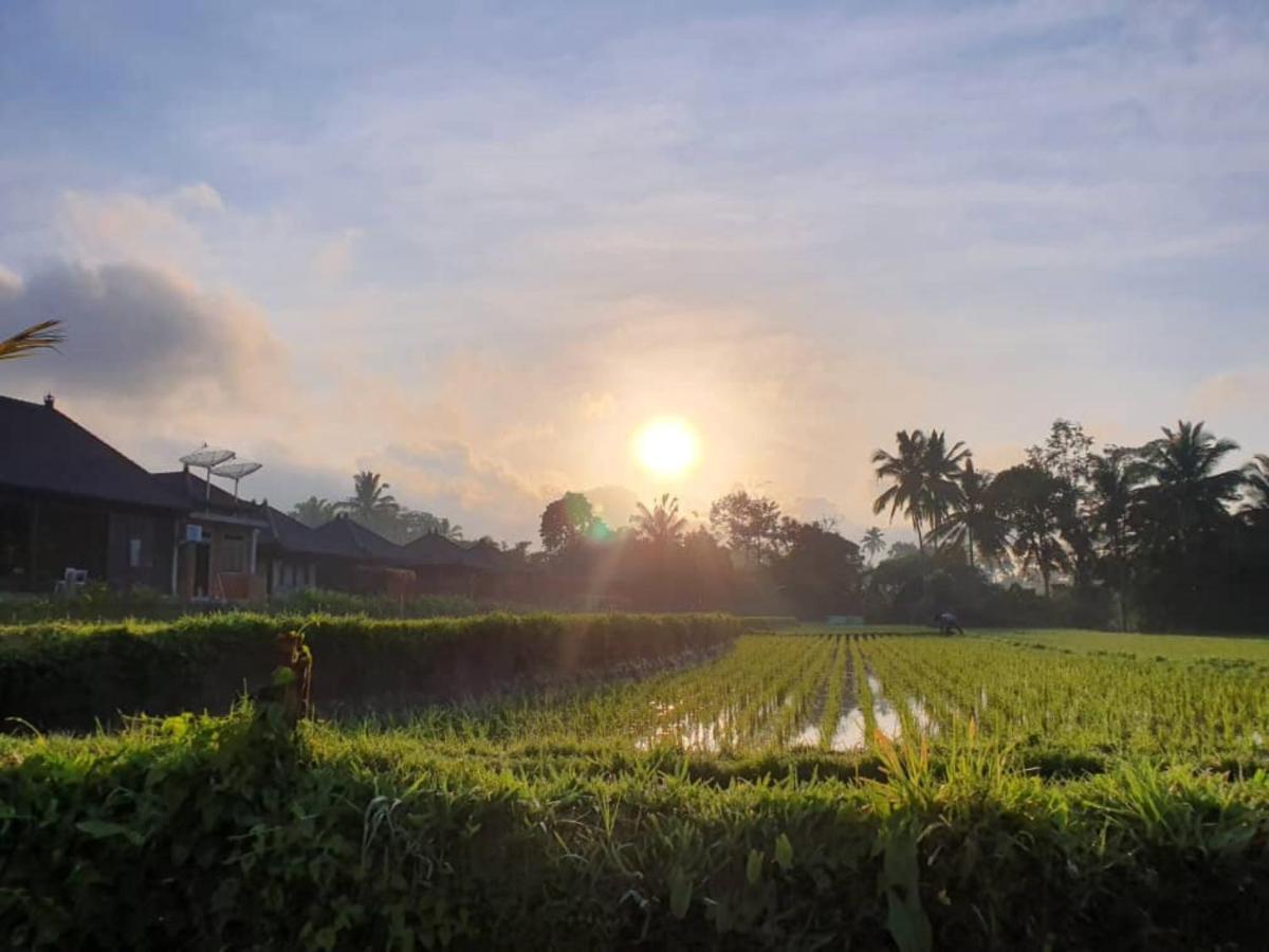 Kayangan Villa Ubud Tegallalang  Exterior photo